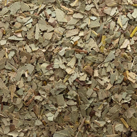 Frontier Co-op Eucalyptus Leaf aromatic closeup with menthol citrus pine notes