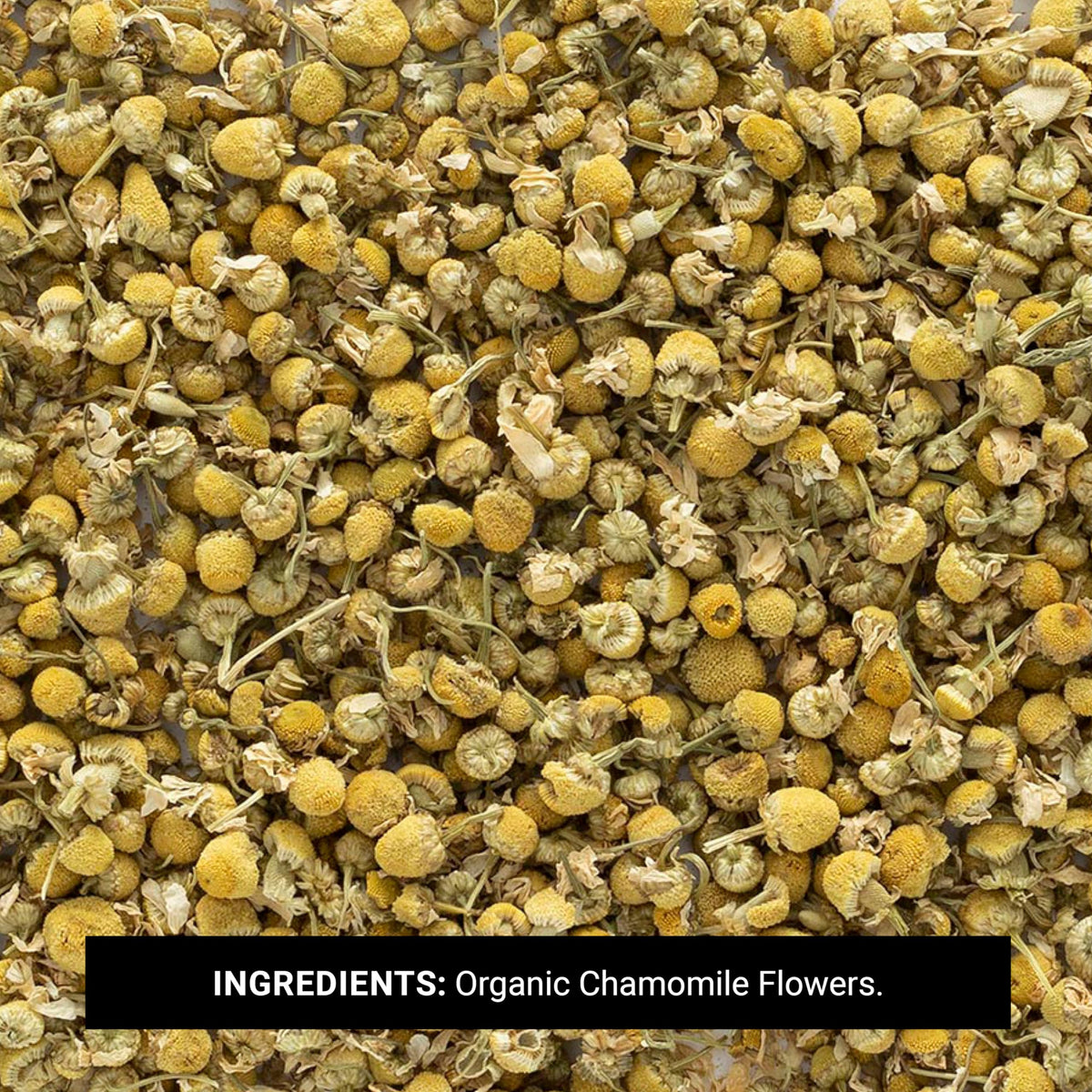 Frontier Co-op German chamomile flowers closeup of dried buds, ideal for soothing tea blends and DIY skincare
