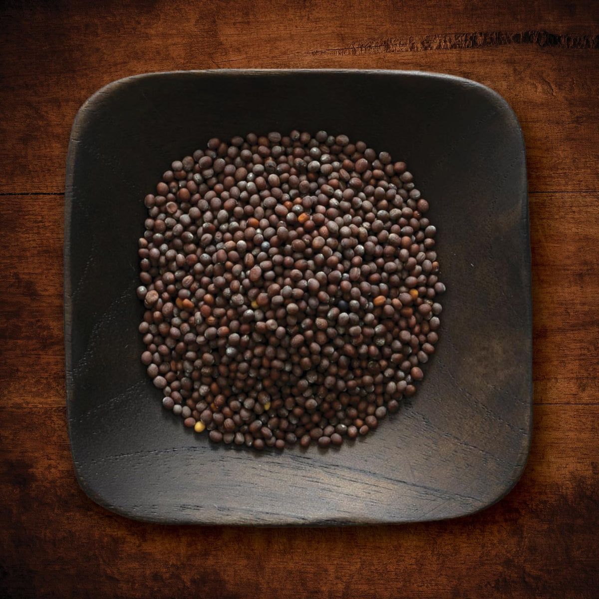 Frontier Co-op brown mustard seeds for spice blends and cooking.