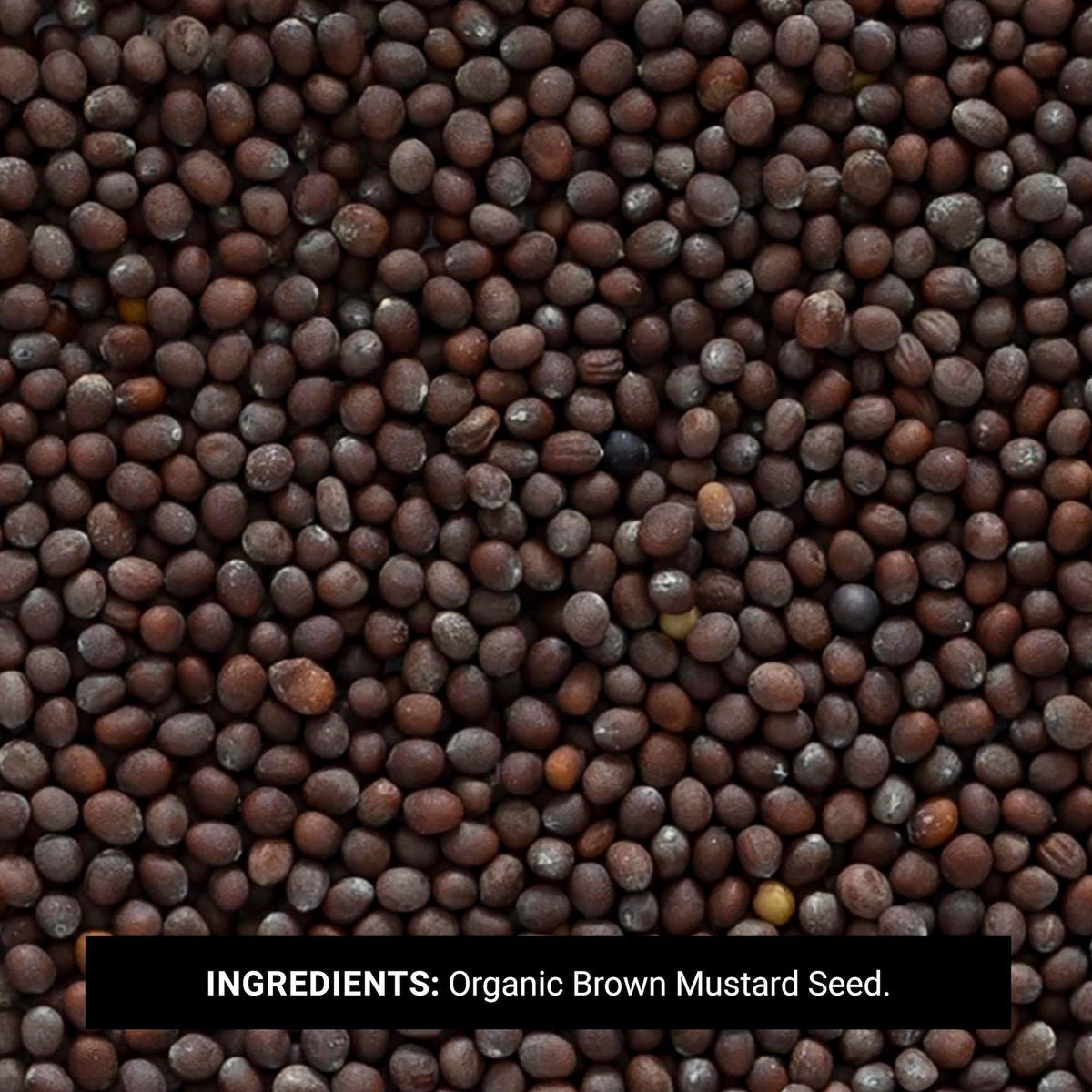 Frontier Co-op organic brown mustard seed, whole form for fresh grinding.