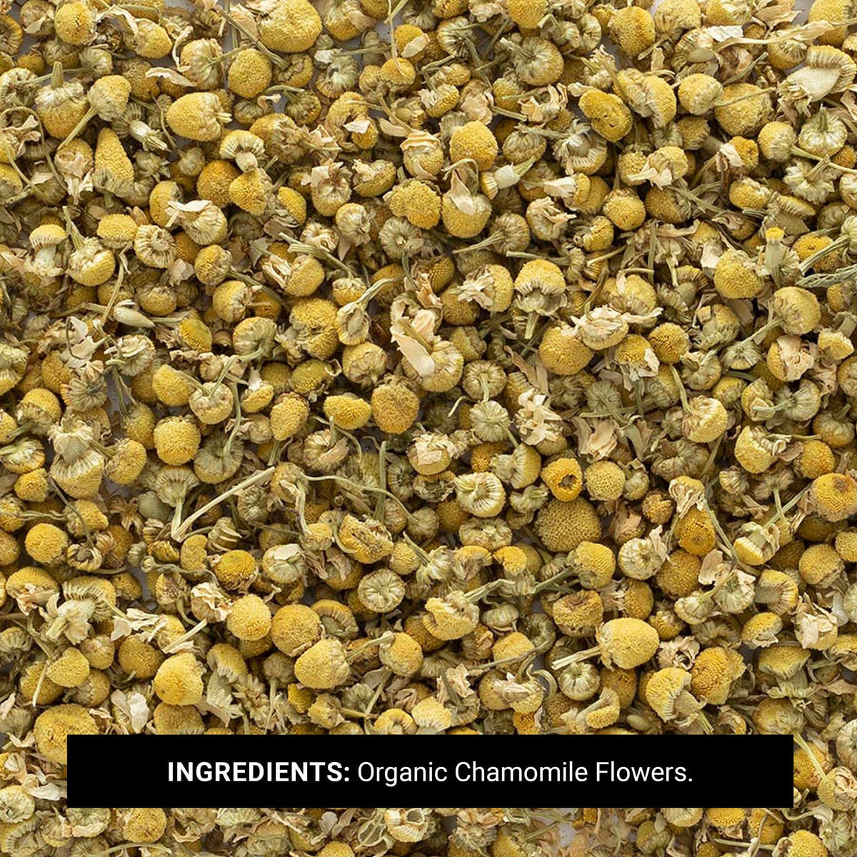 Frontier Co-op chamomile flowers showing fragrance and aroma for beverages.