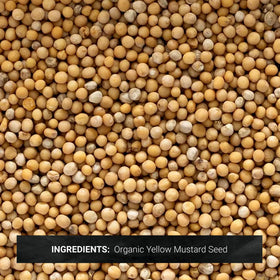 Frontier Co-op Organic Yellow Mustard Seeds bulk spice for seasoning blends