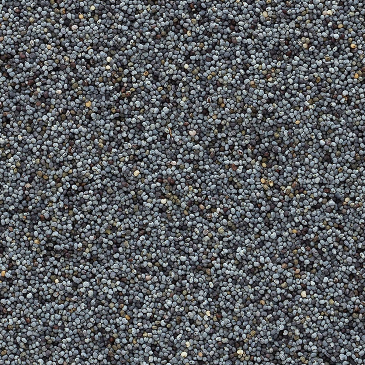 Frontier Co-op poppy seeds ideal for baking and pastry toppings