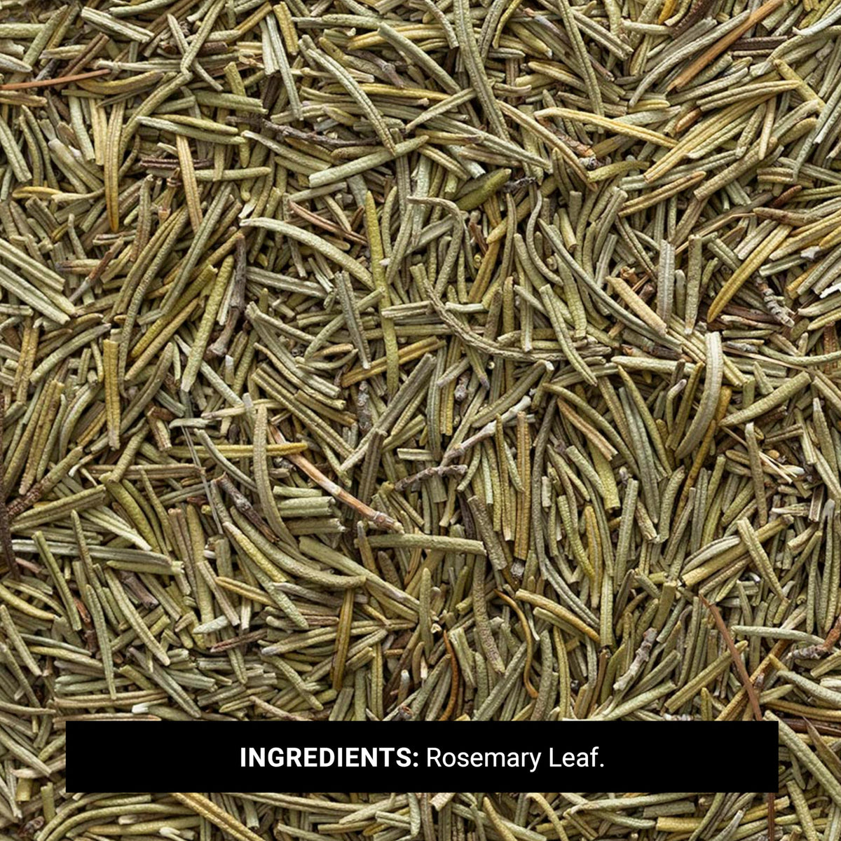 Closeup of dried rosemary leaf aroma and texture for infusing oils.