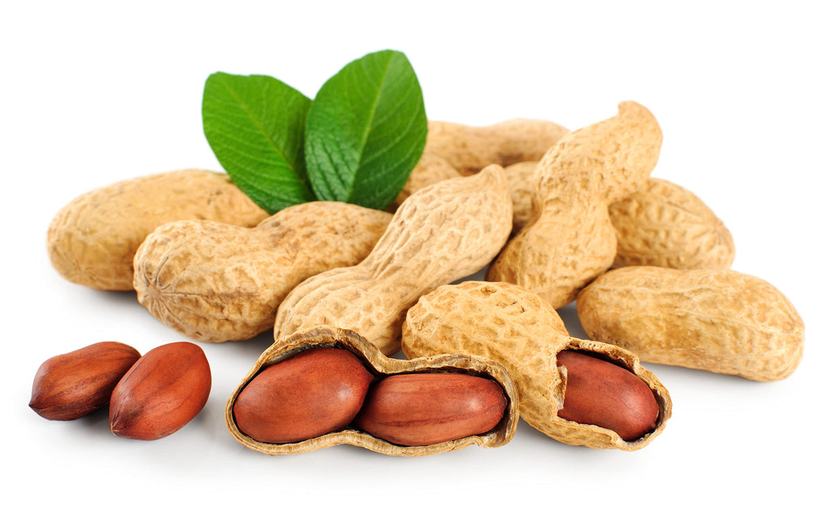 Fruidles all-natural gluten-free no-GMO raw peanuts in shell.