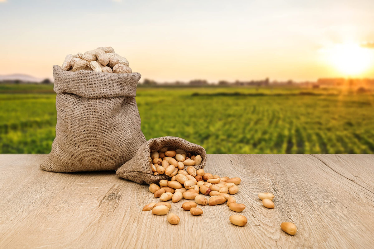 Fruidles raw peanuts in shell ideal for backyard bird feeding.