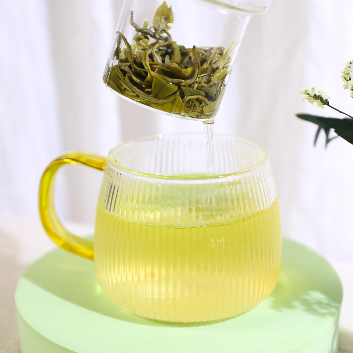 FullChea Bi Luo Chun calming aroma enhances evening tea ritual.