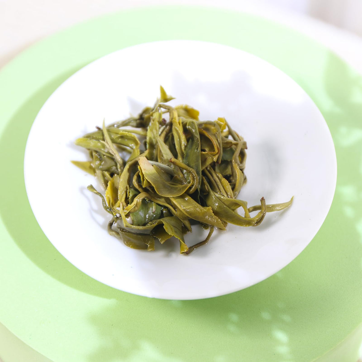 FullChea Bi Luo Chun gaiwan tea session showcasing traditional preparation.