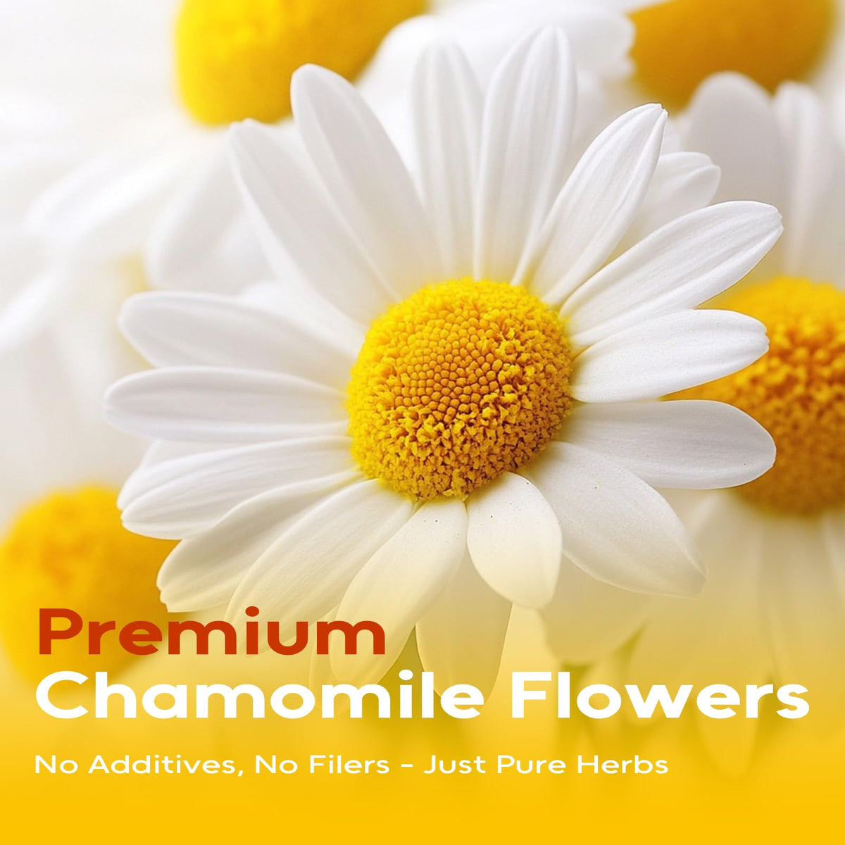 FullChea chamomile tea bags closeup; natural flowers and soothing aroma.