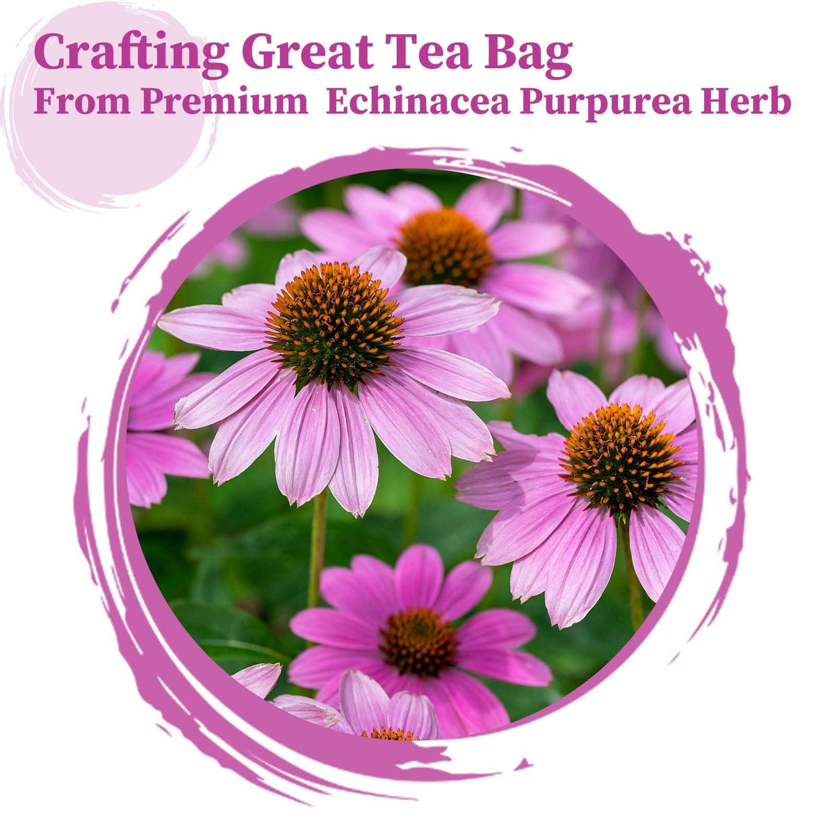 FullChea Echinacea Tea packaging reveals non-GMO and caffeine-free promise for mindful sipping