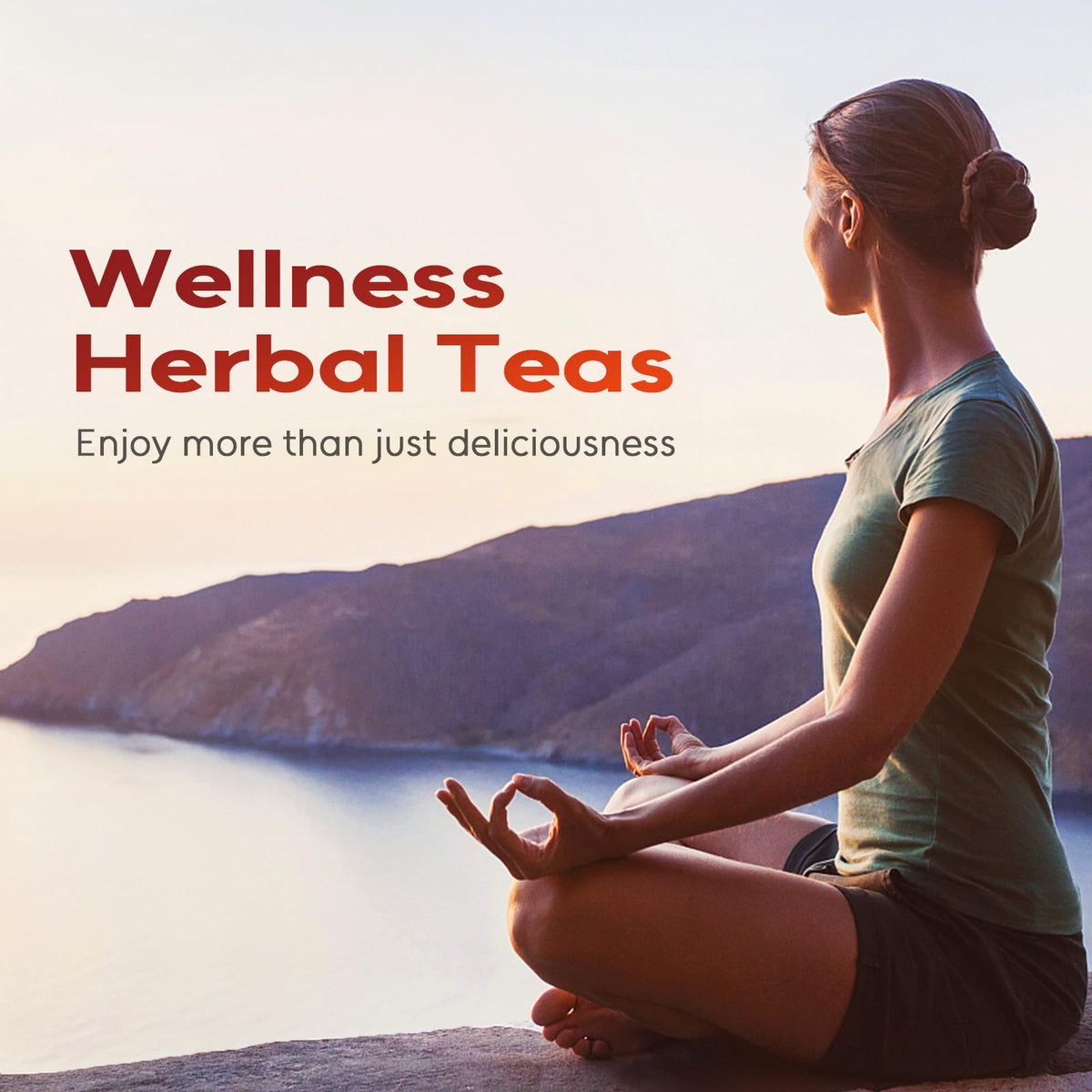 FullChea hibiscus tea bags with corn fiber construction for clean steeping.