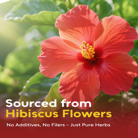 FullChea hibiscus tea bags steeping in cup delivering bright tart flavor and color.