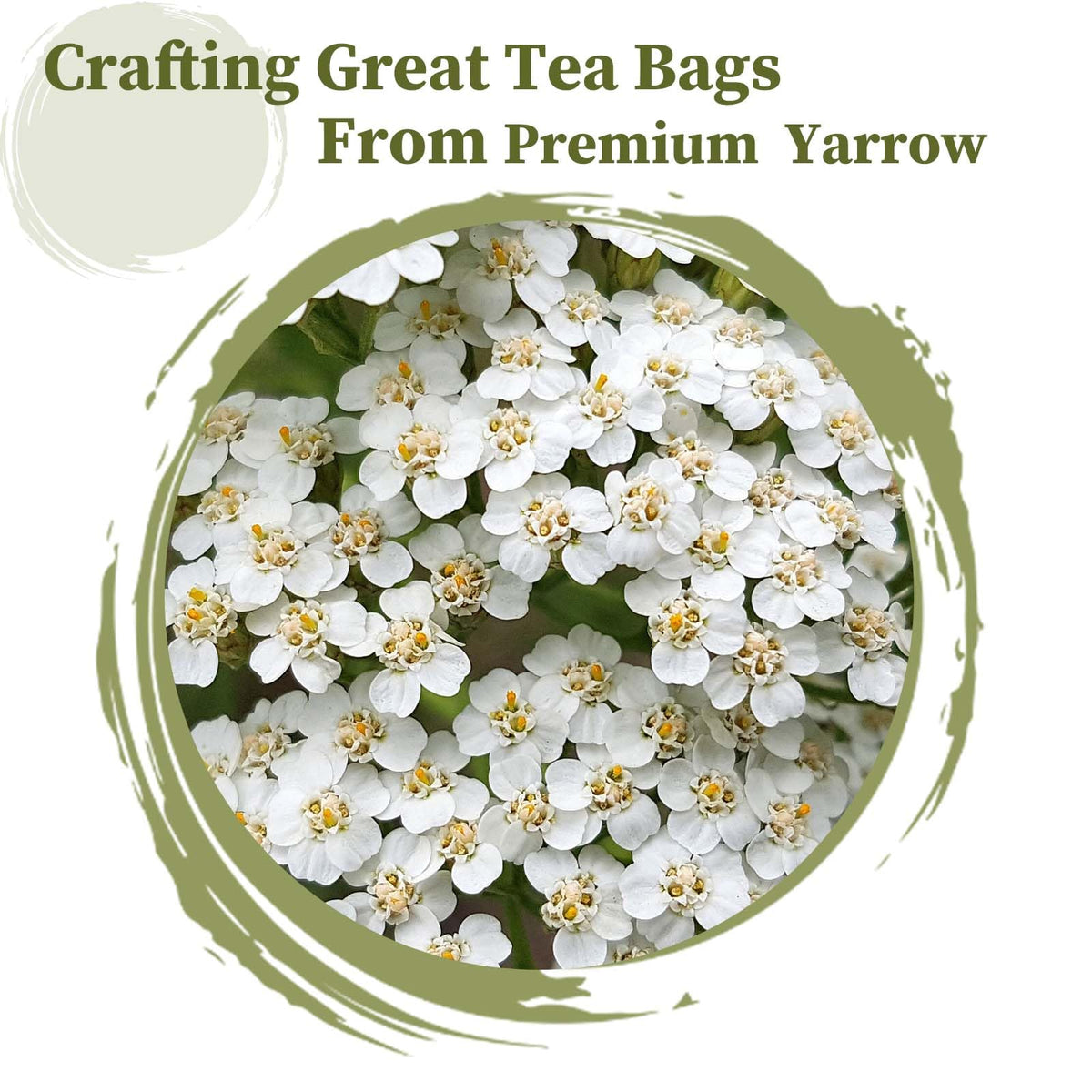 Steeping FullChea Yarrow tea bag in a cup for a soothing, caffeine-free moment.