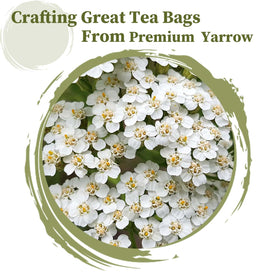 Steeping FullChea Yarrow tea bag in a cup for a soothing, caffeine-free moment.
