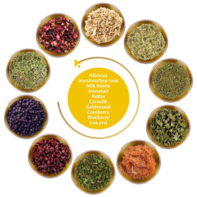 FunctionaliQi Flush tea label closeup; premium herb blend with marshmallow root.