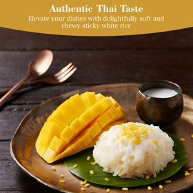 Mango sticky rice dessert served with sauce reflects Thai-inspired dessert ideas.