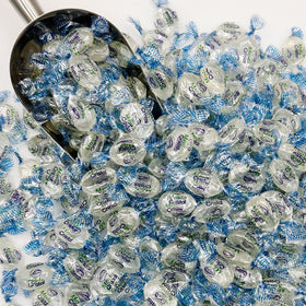 Individually wrapped Fusion Sweets And Snacks mints for easy grabbing and sharing.