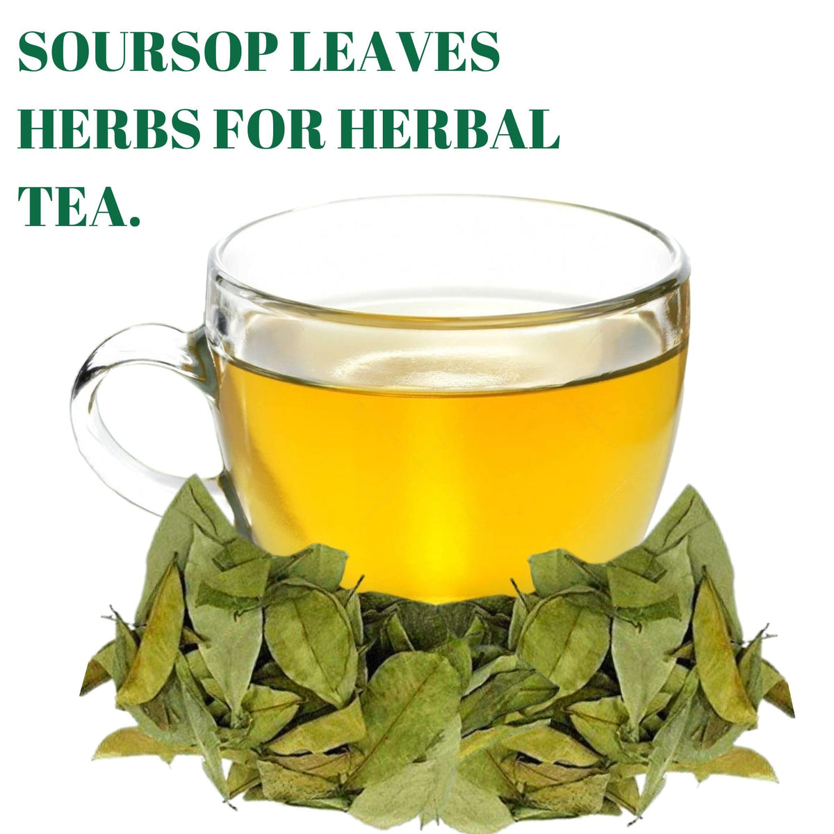 Gabio Green guanabana leaves ideal for soothing tea blends.
