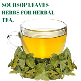 Gabio Green guanabana leaves ideal for soothing tea blends.