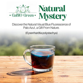Gabio Green Palo Azul Tea in mug during casual tea