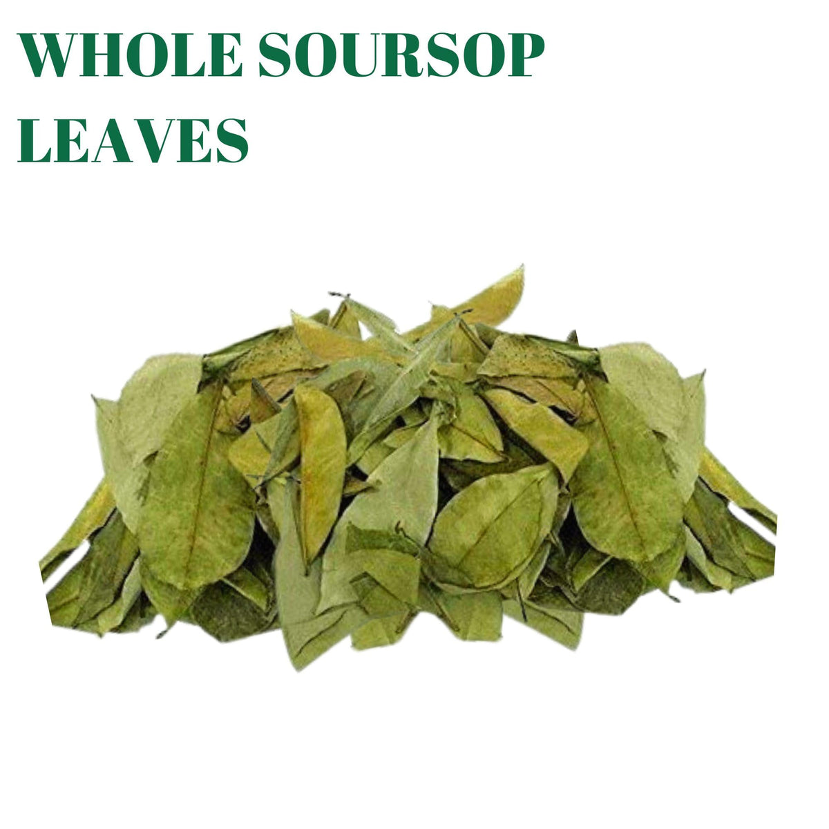 Gabio Green loose leaves for herbal tea rituals.