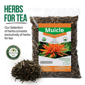 Gabio Green Muicle brew in cup with calming herbal notes.