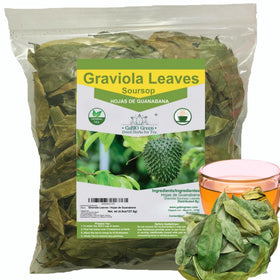 Gabio Green soursop leaves loose for aromatic tea infusions.