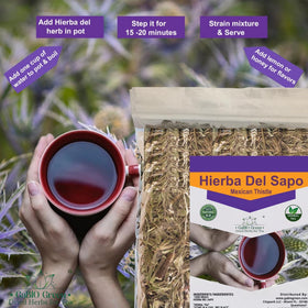 Gabio Green Hierba del Sapo leaves in an infuser, ideal for warm tea rituals.
