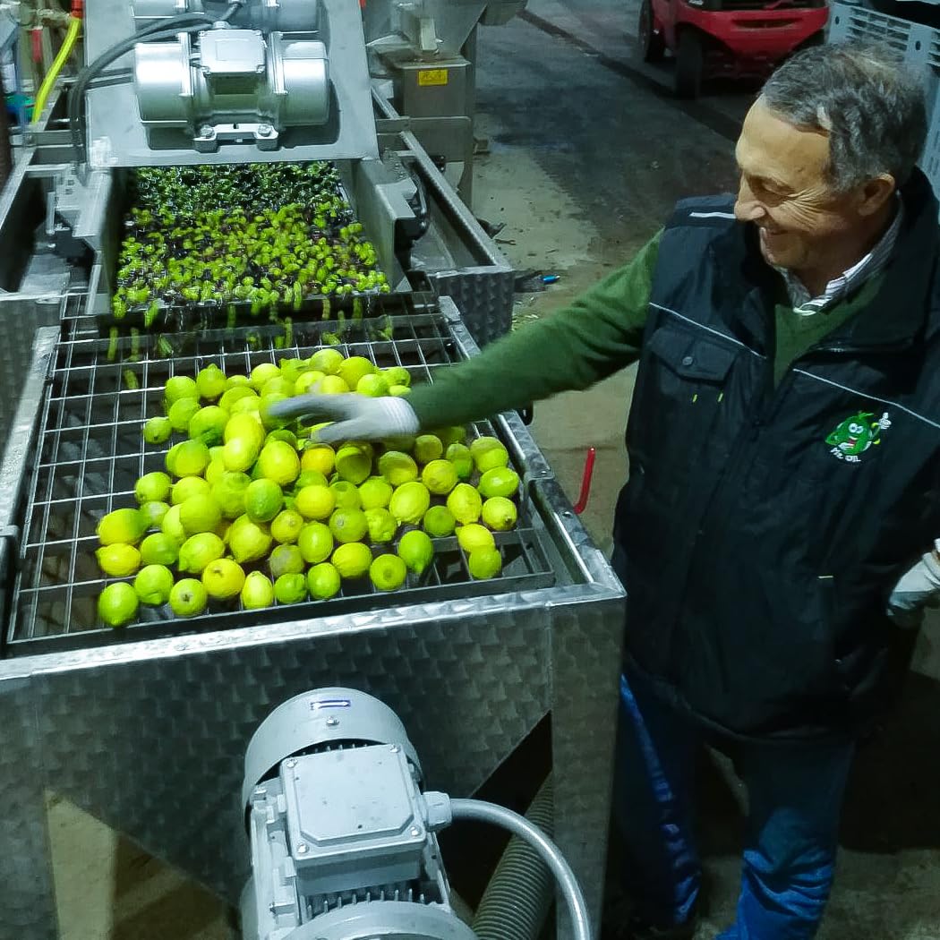 Galbasa Lemon Oil pour action illustrating a smooth finish for final touches.