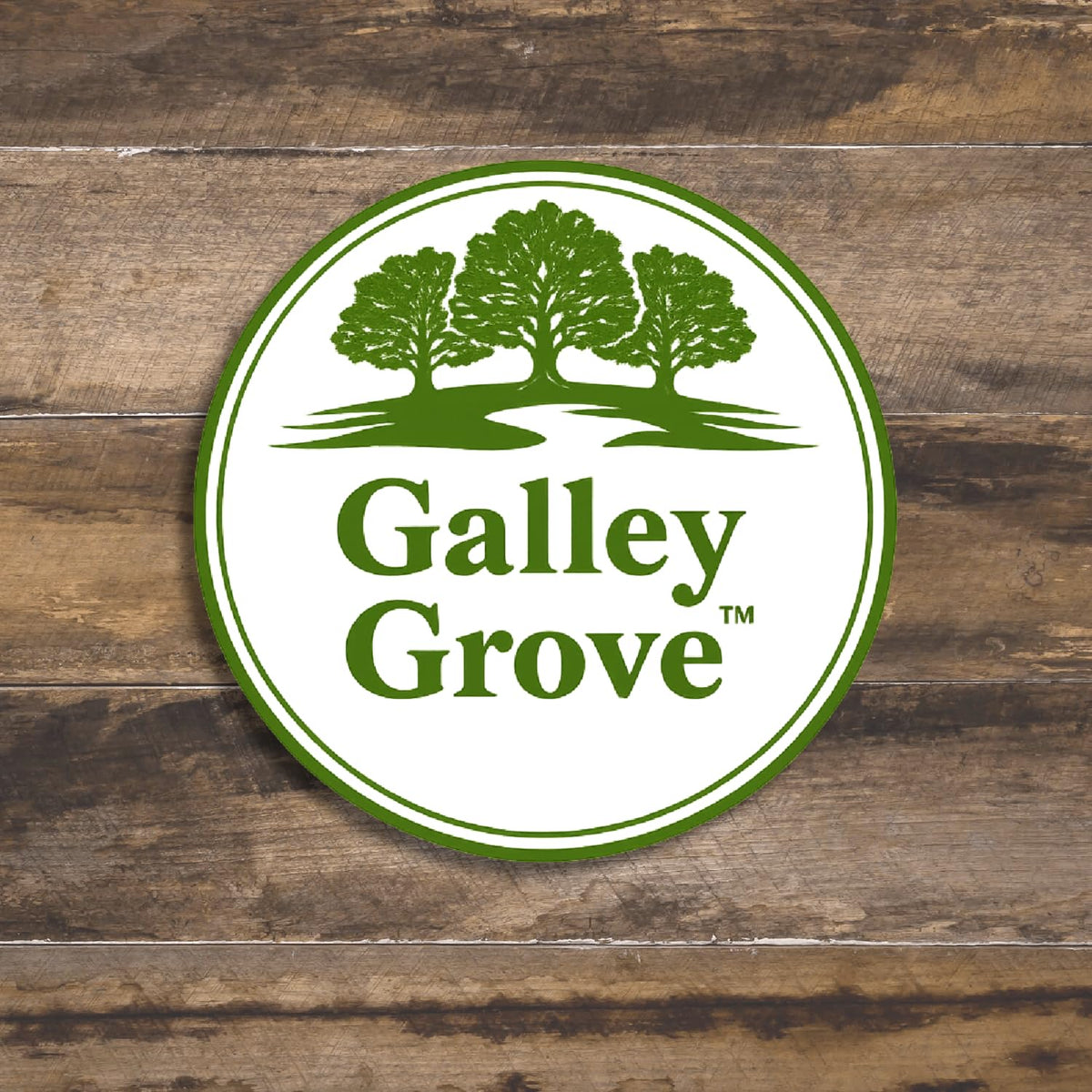 On-the-go hydration with Galley Grove Lemonade packets in a bag.