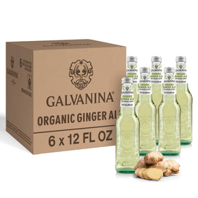 Galvanina Ginger Ale bottle front, premium organic Italian soda for refreshing everyday use.