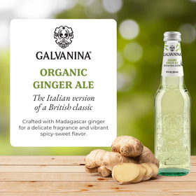 Galvanina Ginger Ale bubbles closeup, lively effervescence ideal for cocktails.