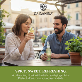 Galvanina Ginger Ale cocktail mixer, adds spice and sparkle to mocktails.