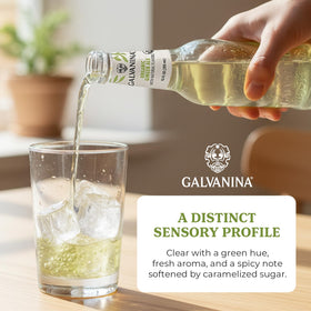Galvanina Ginger Ale glass serve, refreshing drink solo or with meals.