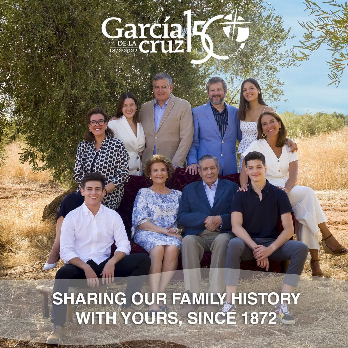 La Mancha olive grove scene emphasizes sustainable family-farmed origin