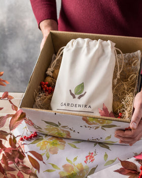 Gardenika eco-friendly packaging concept using recyclable materials