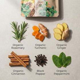 Gardenika Flamma-tea turmeric-ginger blend highlights vibrant color and warm spice notes