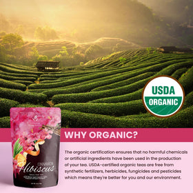 Gardenika ingredients sourced from India for authentic flavor and quality.