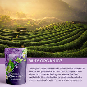 Gardenika rich full-bodied black tea with citrus notes in a cup