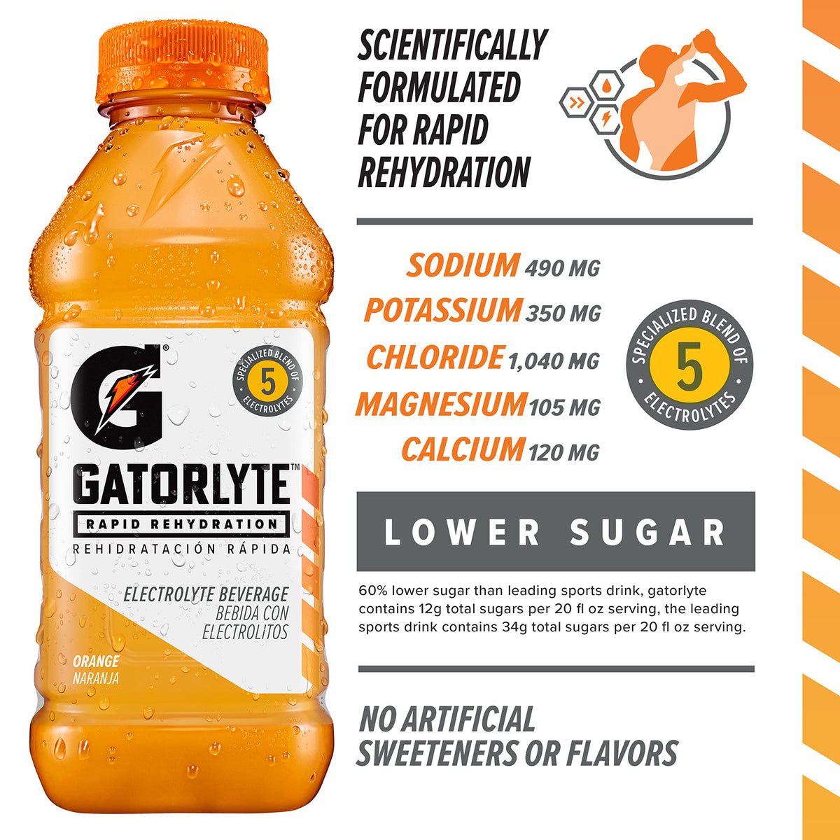 Gatorlyte Orange 20oz bottle on gym bench supports electrolyte balance