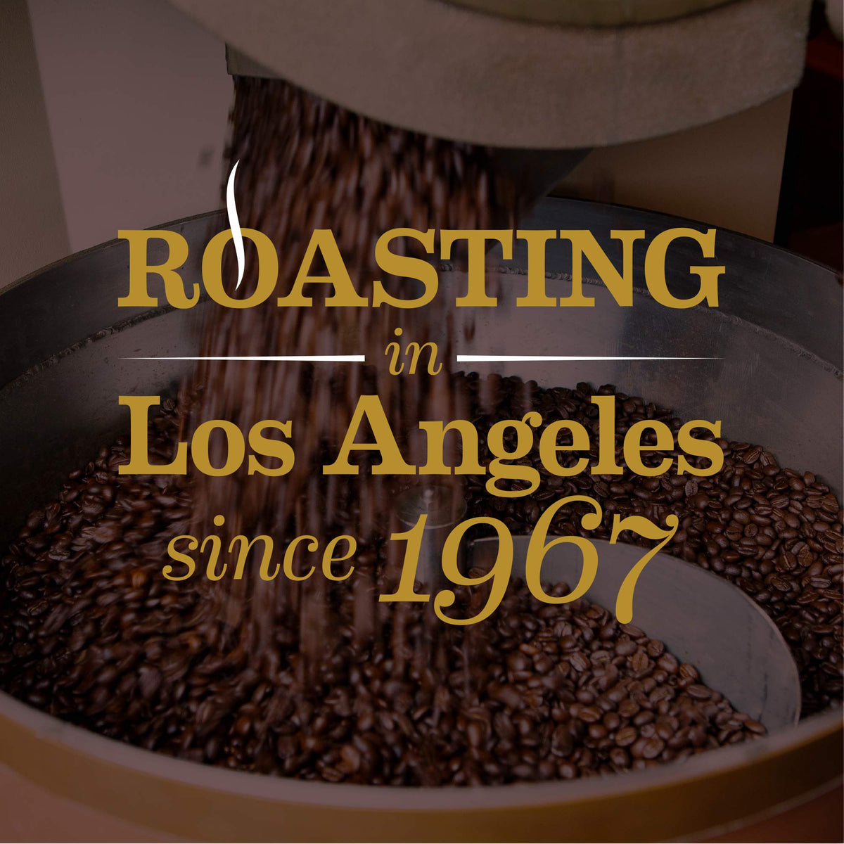 Grind size preview for Gavina Nuevo Mundo Espresso extraction