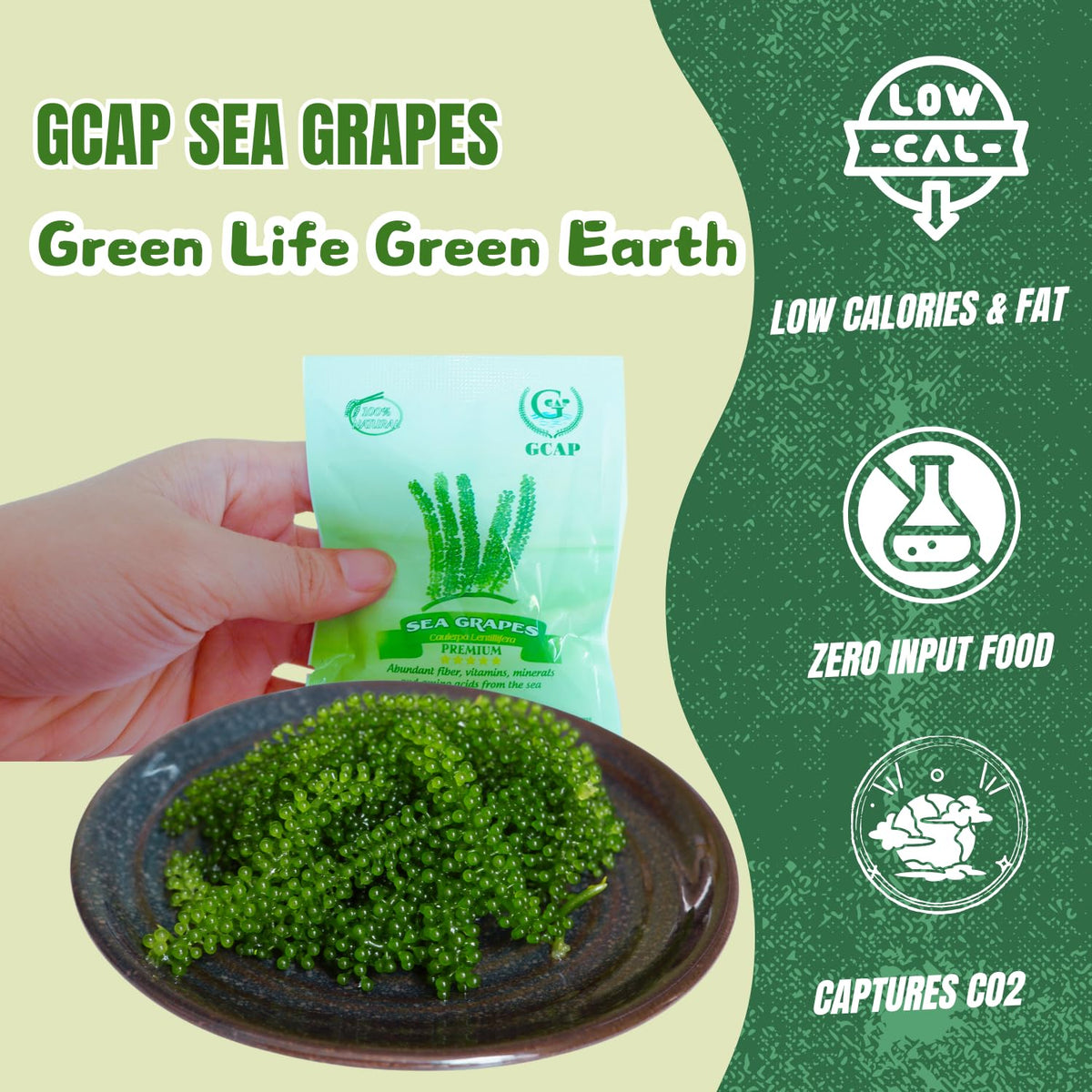 GCAP Sea Grapes beads close-up, caviar-like texture ideal for salads.