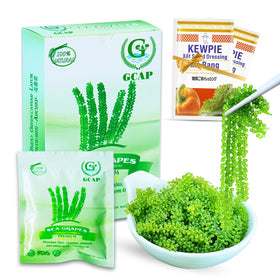 GCAP Sea Grapes front pack, premium seaweed snack for quick, healthy meals.