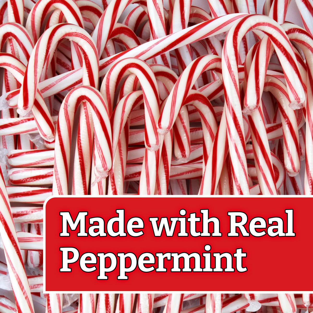 GEEOOLLAH five-and-a-half-inch candy cane on display for stocking stuffers and party favors
