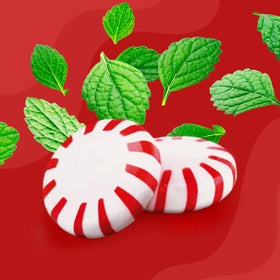 GEEOOLLAH Starlight candies in gift bags, individually wrapped for easy gifting