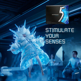 Generic 5 Gum 6-pack assorted flavors display variety of minty options.