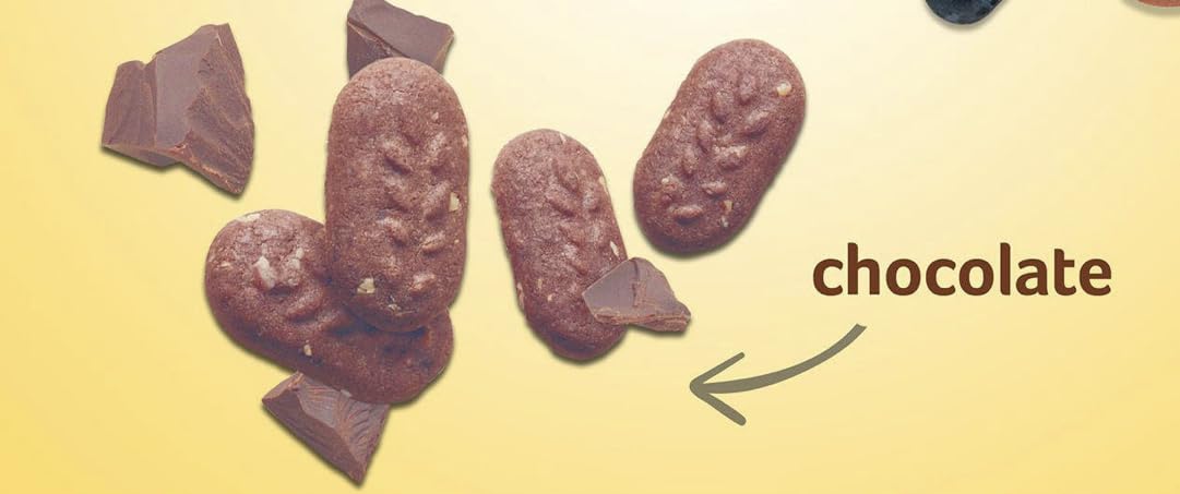 Close-up of Generic Breakfast Biscuit Chocolate Cookies with rich cocoa flavor