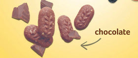 Close-up of Generic Breakfast Biscuit Chocolate Cookies with rich cocoa flavor
