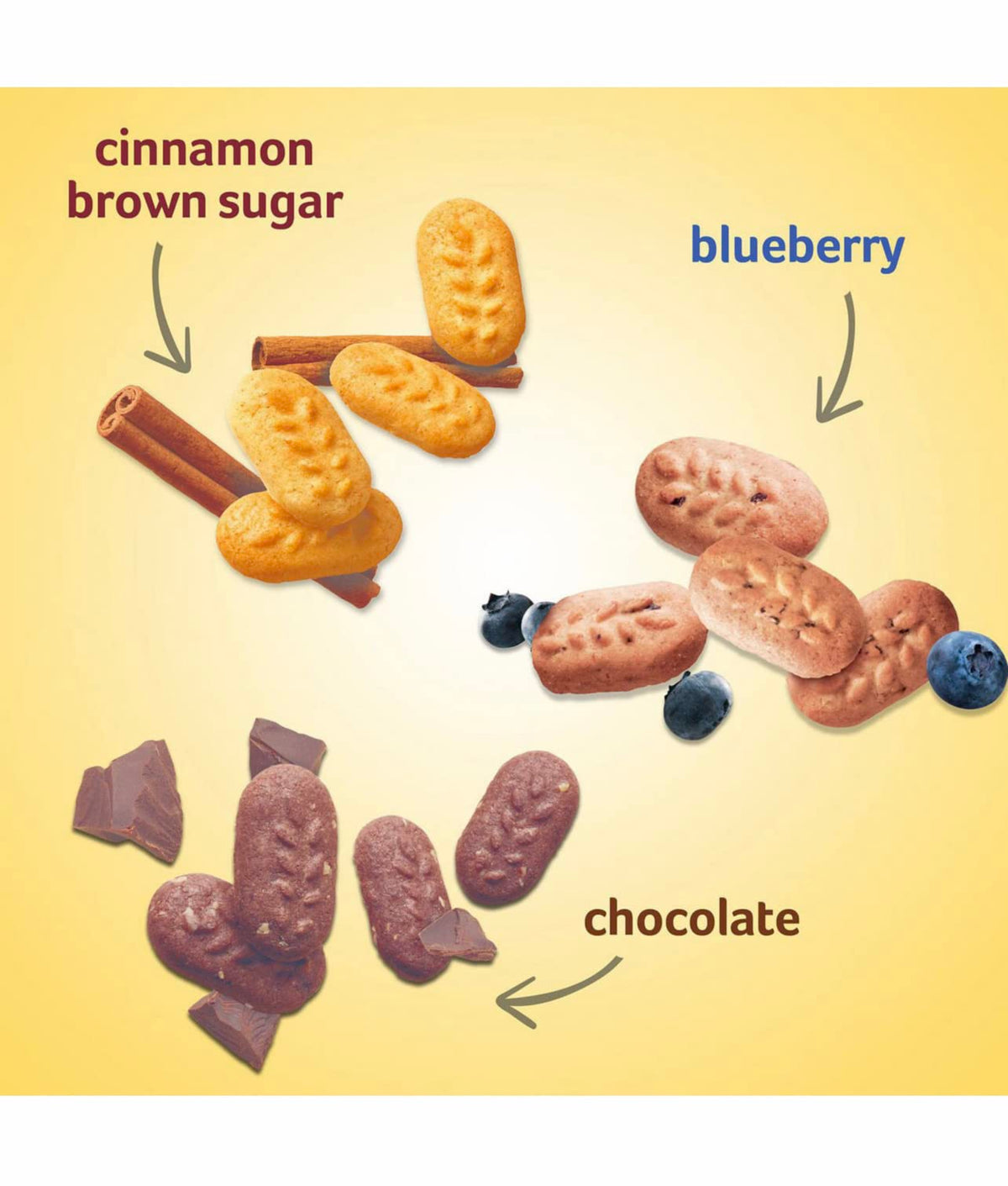 Generic Breakfast Biscuit Variety Pack contents display: 12 of each flavor