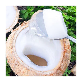 Generic dragon jelly powder instructions help create smooth, no-clump coconut jelly at home